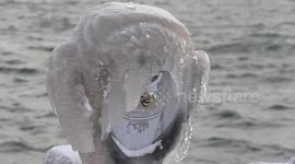 Freezing polar vortex leaves Toronto lakefront encased in ice