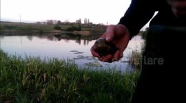 This is what happens when you throw a hand grenade into a lake