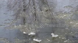 Extreme Cold in the Midwest Causes Rare Weather Phenomenon