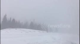 Polar vortex reaches Newfoundland, causing howling squalls