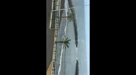 Maderia sea view