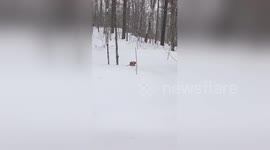 Newsflare Edit - snow day #ShareYourWeather https://t.co/EV9CwCKjcb