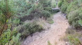 Dust cloud from mountain bike