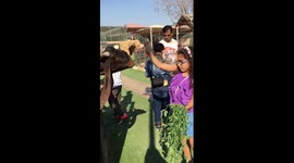 Goat spits at girl