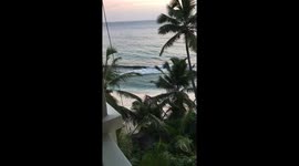 Seychelles beauty
