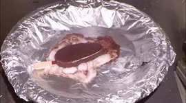 YouTuber shows off different delicious foods melting in reverse
