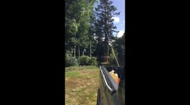 Felling a HUGE tree trunk!!