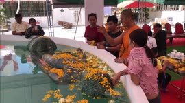 Locals amazed by 'supernatural' 600lbs brass Buddha statue that floats