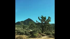 Desert in slow motion.