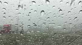 Rain on a car roof may be the most peaceful thing you hear all week
