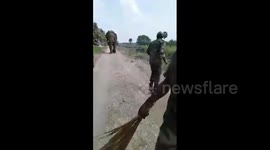 Officials have close encounter with rogue elephant