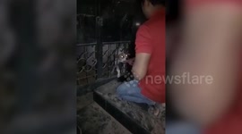 Benevolent man frees a dog that got its head stuck in a gate in India