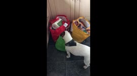 What did you buy me?