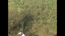 Indian man fights off ferocious wild boar with his bare hands