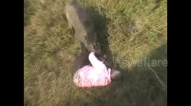 Indian man fights off ferocious wild boar with his bare hands