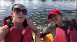 Peddle Boat Shenanigans