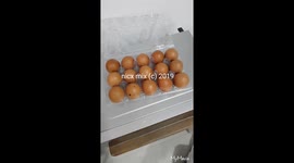 Eggs last 3 months