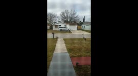 Big Birds walking by my house