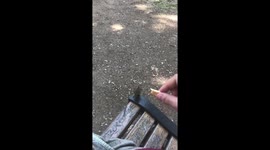 Sharing is caring with a little bird in Rome