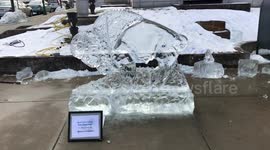 Bucknell University Bison Ice Sculpture