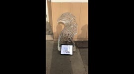 Eagle Ice Sculpture at Ice Festival