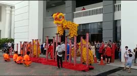 Lion dancers jump around on poles to celebrate Lunar New Year