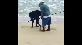Man catches shark in Hawaii