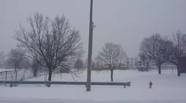 Toronto saw up to 20 cm of snow fall on the city.