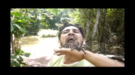 Man puts three tarantulas in his mouth