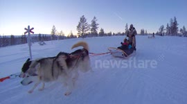 Husky safari on Christmas day