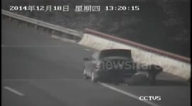 Driver picks up lost pig from highway