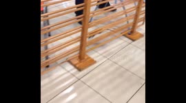 KFC closed after Rat invades Peru food court