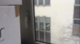 Gunfire in Paris internal