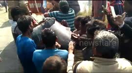 Indian villagers battle to save endangered dolphin stuck in irrigation canal
