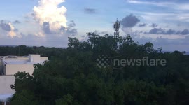 Incredible Yucatan Rainforest Aerial shot in Mexico