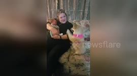Excited dog enthusiastically waves at newborn baby in first meeting