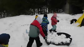 Snow Ball Fight with children and my Alaskan Malamute