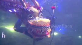 Underwater dragon dance at Chinese aquarium to welcome Lunar New Year