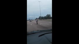 Wheelie from John Vorster in Centurion to R21