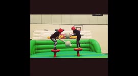 Gladiator hens fight!