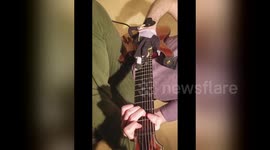 Guitarist turns right hand into dancing Michael Jackson puppet as he plays