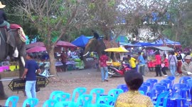 Panic as teenager clings to rampaging elephant's tusks at Thai country fair