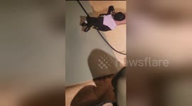 Guitarist turns right hand into dancing Michael Jackson puppet as he plays