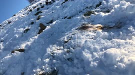 Boy sledging downhill faceplants in snow in west English countryside