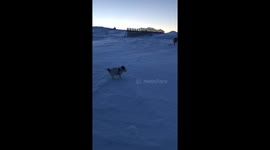 Snowbath in the sunset