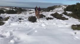 Fun in the snow