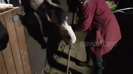 Sweep up time, Mary & Me