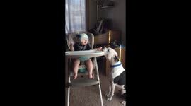 Baby gives dog a cookie and then is sad it's gone