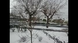 Winter Storm Portland