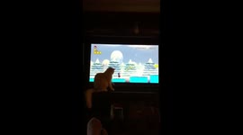 Cat wants penguin Mario on tv